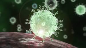 Microscopic image of Corona Virus